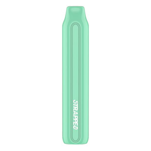 Strapped Stix Disposable Vape Device